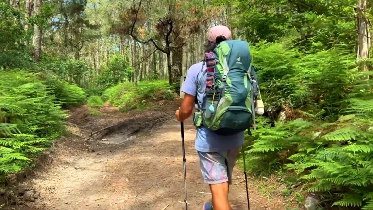 Voy a Pagar y me Voy